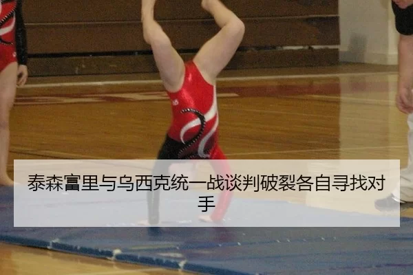 泰森富里与乌西克统一战谈判破裂各自寻找对手